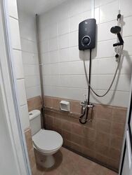 The Sunny Spring (D14), Apartment #602144791
